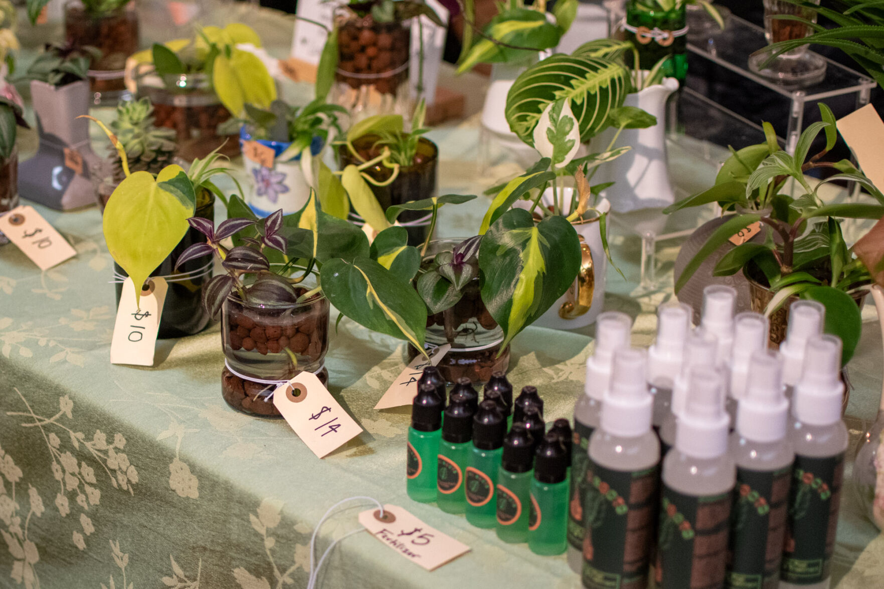 Up-and-coming businesses flourish at First Friday Art Walk
